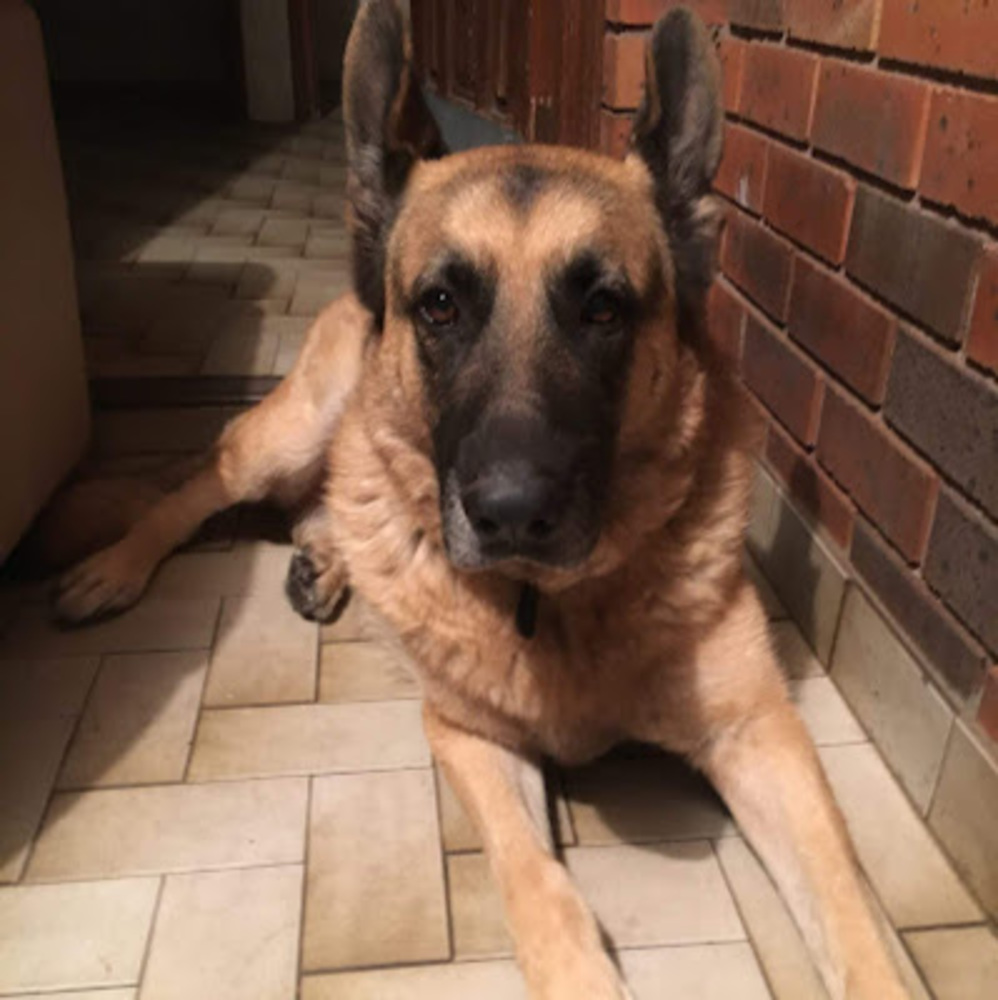 Meet your Posher, Gloria